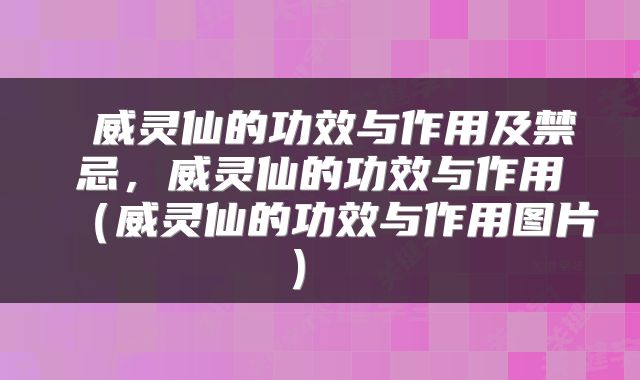  威灵仙的功效与作用及禁忌，威灵仙的功效与作用（威灵仙的功效与作用图片） 
