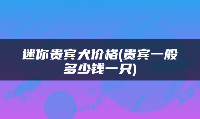 迷你贵宾犬价格(贵宾一般多少钱一只)