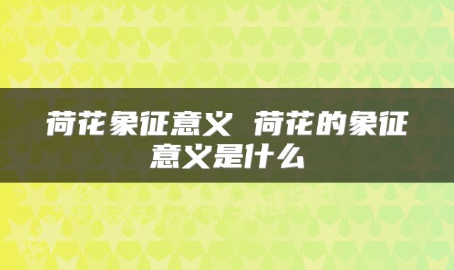 荷花象征意义 荷花的象征意义是什么