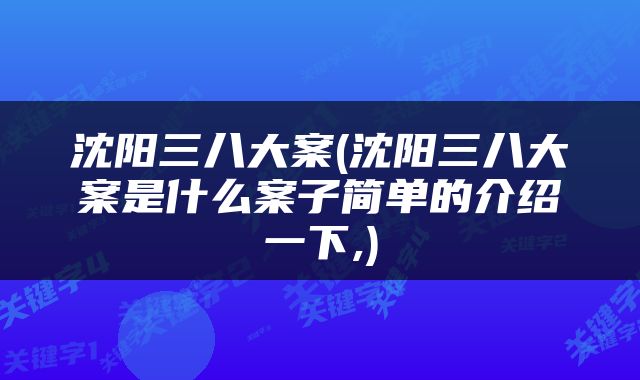 沈阳三八大案(沈阳三八大案是什么案子简单的介绍一下,)