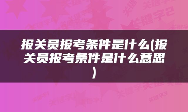 报关员报考条件是什么(报关员报考条件是什么意思)