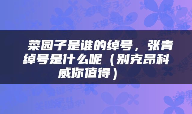  菜园子是谁的绰号，张青绰号是什么呢（别克昂科威你值得） 