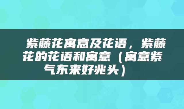  紫藤花寓意及花语，紫藤花的花语和寓意（寓意紫气东来好兆头） 