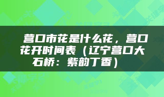  营口市花是什么花，营口花开时间表（辽宁营口大石桥：紫韵丁香） 