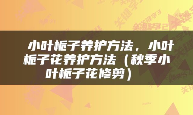  小叶栀子养护方法，小叶栀子花养护方法（秋季小叶栀子花修剪） 