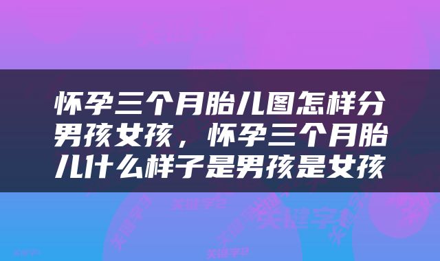 怀孕三个月胎儿图怎样分男孩女孩，怀孕三个月胎儿什么样子是男孩是女孩