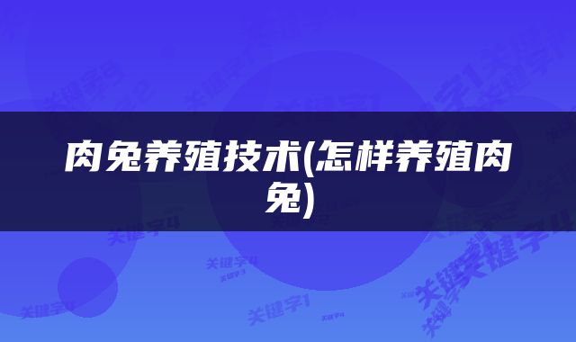 肉兔养殖技术(怎样养殖肉兔)