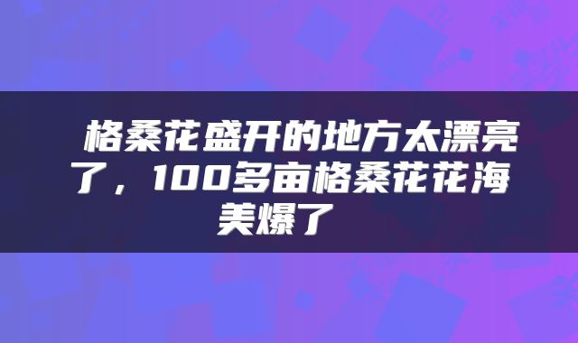  格桑花盛开的地方太漂亮了，100多亩格桑花花海美爆了 