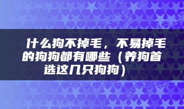  什么狗不掉毛，不易掉毛的狗狗都有哪些（养狗首选这几只狗狗） 