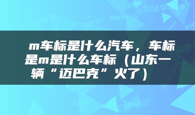  m车标是什么汽车，车标是m是什么车标（山东一辆“迈巴克”火了） 