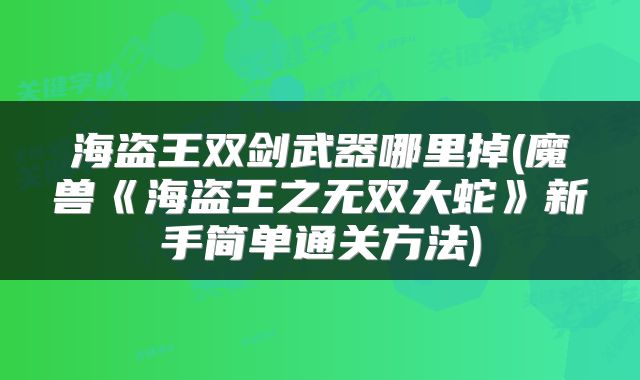 海盗王双剑武器哪里掉(魔兽《海盗王之无双大蛇》新手简单通关方法)