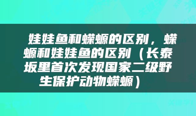  娃娃鱼和蝾螈的区别，蝾螈和娃娃鱼的区别（长泰坂里首次发现国家二级野生保护动物蝾螈） 