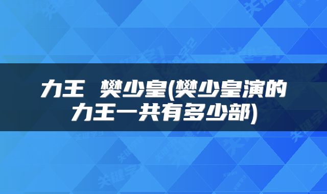 力王 樊少皇(樊少皇演的力王一共有多少部)