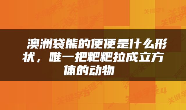 澳洲袋熊的便便是什么形状,唯一把粑粑拉成立方体的动物