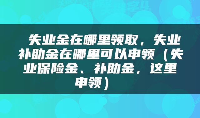  失业金在哪里领取，失业补助金在哪里可以申领（失业保险金、补助金，这里申领） 