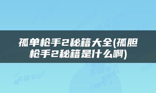 孤单枪手2秘籍大全(孤胆枪手2秘籍是什么啊)