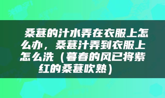  桑葚的汁水弄在衣服上怎么办，桑葚汁弄到衣服上怎么洗（暮春的风已将紫红的桑葚吹熟） 