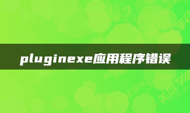 pluginexe应用程序错误