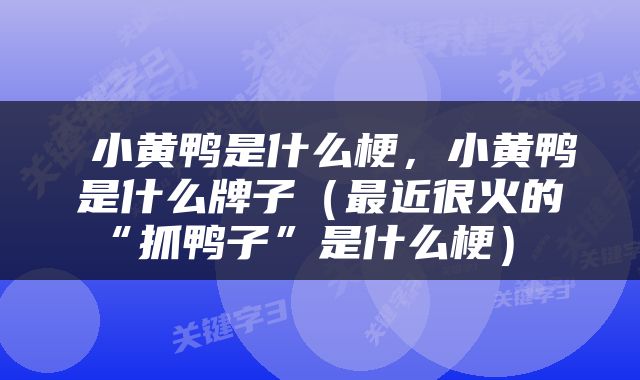  小黄鸭是什么梗，小黄鸭是什么牌子（最近很火的“抓鸭子”是什么梗） 