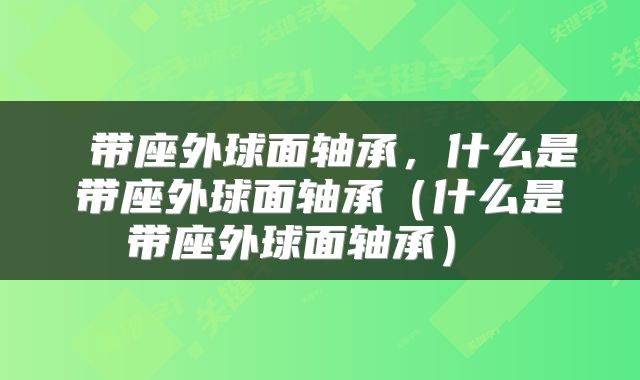  带座外球面轴承，什么是带座外球面轴承（什么是带座外球面轴承） 
