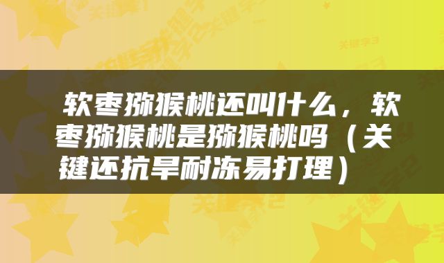  软枣猕猴桃还叫什么，软枣猕猴桃是猕猴桃吗（关键还抗旱耐冻易打理） 