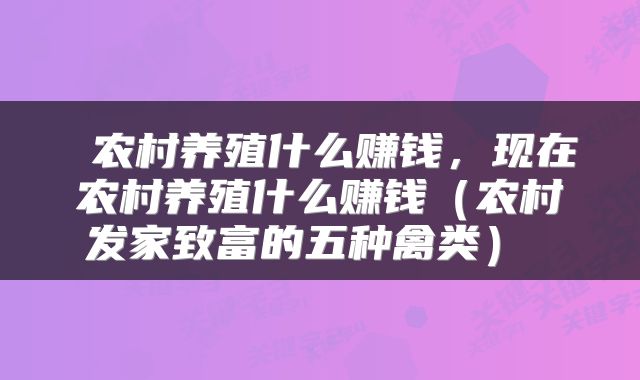  农村养殖什么赚钱，现在农村养殖什么赚钱（农村发家致富的五种禽类） 