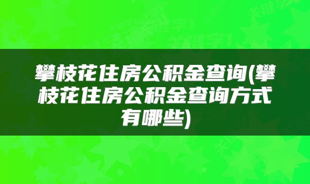 攀枝花住房公积金查询(攀枝花住房公积金查询方式有哪些)