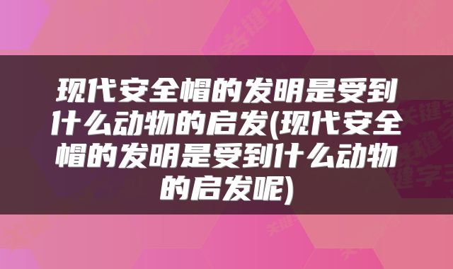 现代安全帽的发明是受到什么动物的启发(现代安全帽的发明是受到什么动物的启发呢)