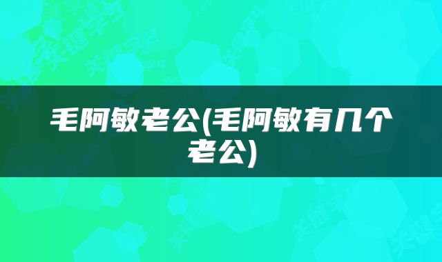 毛阿敏老公(毛阿敏有几个老公)