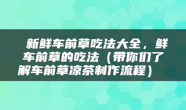  新鲜车前草吃法大全，鲜车前草的吃法（带你们了解车前草凉茶制作流程） 