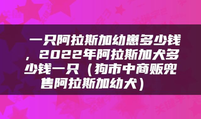  一只阿拉斯加幼崽多少钱，2022年阿拉斯加犬多少钱一只（狗市中商贩兜售阿拉斯加幼犬） 
