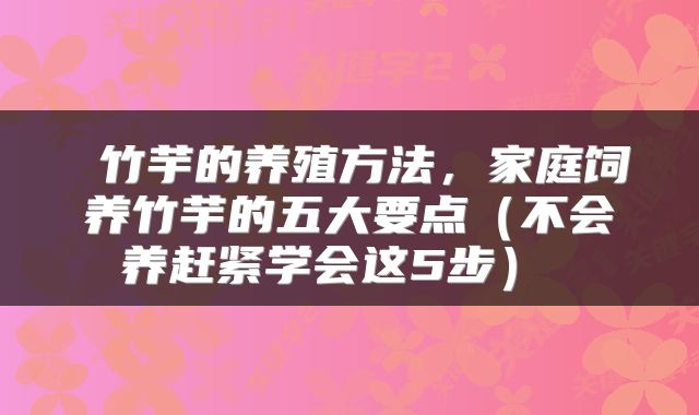  竹芋的养殖方法，家庭饲养竹芋的五大要点（不会养赶紧学会这5步） 