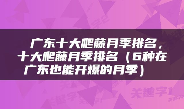  广东十大爬藤月季排名，十大爬藤月季排名（6种在广东也能开爆的月季） 