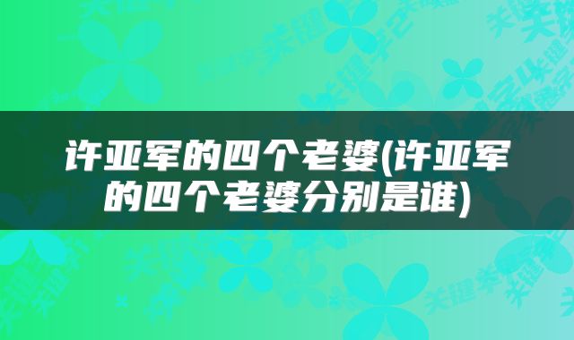 许亚军的四个老婆(许亚军的四个老婆分别是谁)