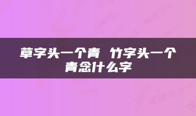 草字头一个青 竹字头一个青念什么字