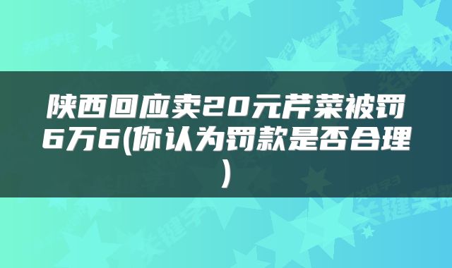 陕西回应卖20元芹菜被罚6万6(你认为罚款是否合理)