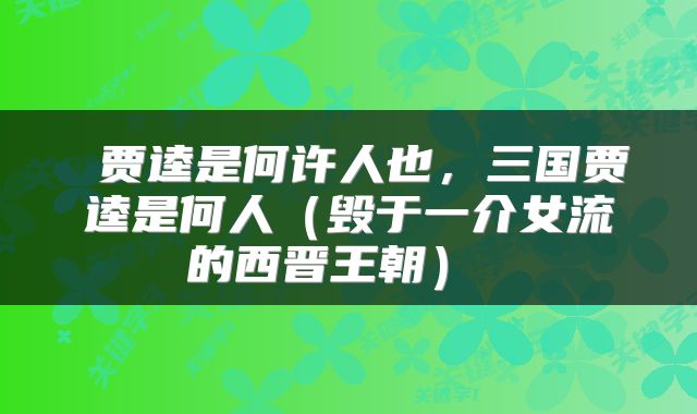  贾逵是何许人也，三国贾逵是何人（毁于一介女流的西晋王朝） 