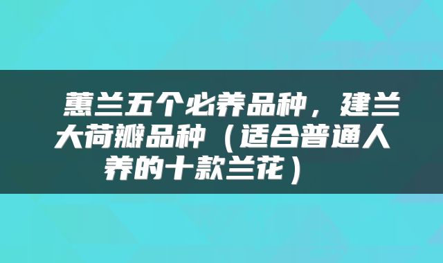  蕙兰五个必养品种，建兰大荷瓣品种（适合普通人养的十款兰花） 