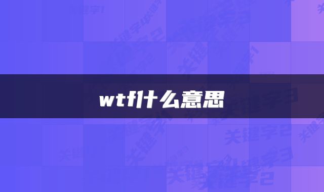 wtf什么意思