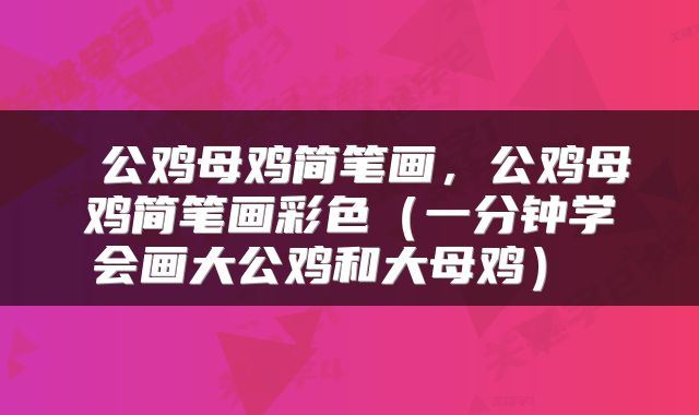 公鸡母鸡简笔画,公鸡母鸡简笔画彩色(一分钟学会画大公鸡和大母鸡)