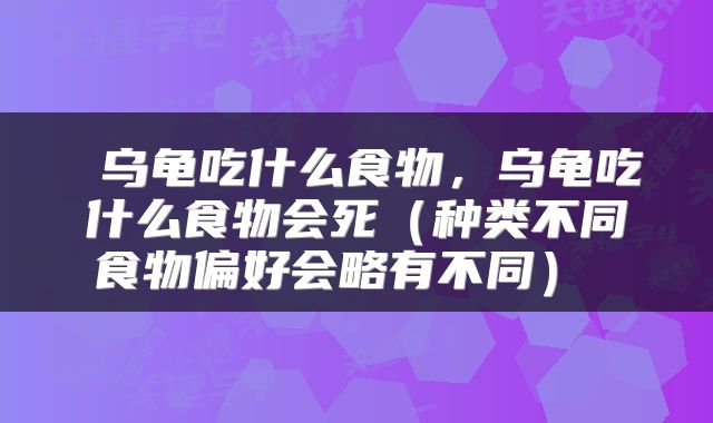  乌龟吃什么食物，乌龟吃什么食物会死（种类不同食物偏好会略有不同） 