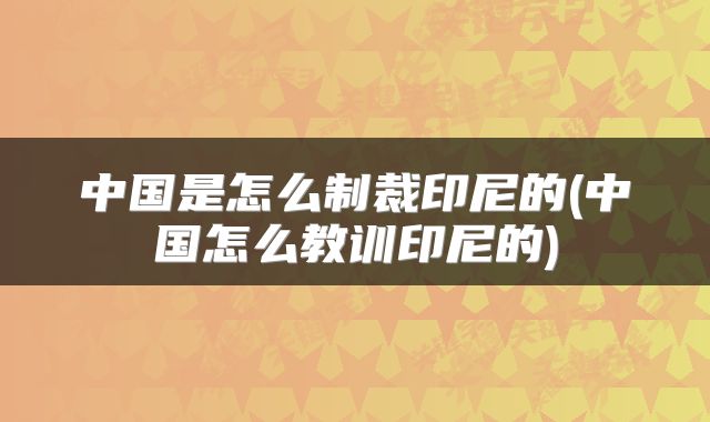 中国是怎么制裁印尼的(中国怎么教训印尼的)