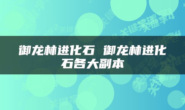 御龙林进化石 御龙林进化石各大副本