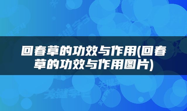 回春草的功效与作用(回春草的功效与作用图片)