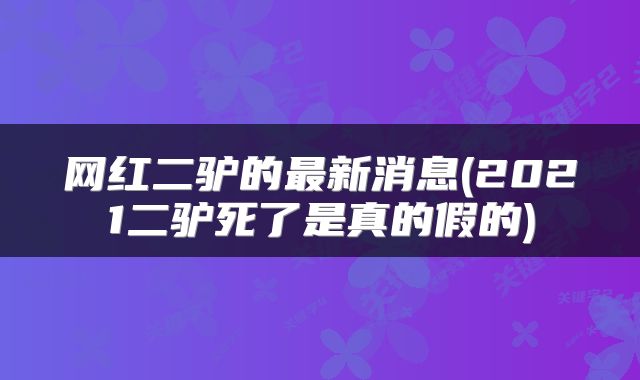 网红二驴的最新消息(2021二驴死了是真的假的)