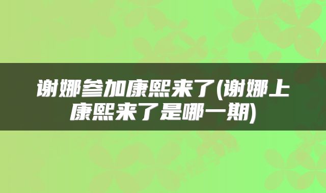 谢娜参加康熙来了(谢娜上康熙来了是哪一期)
