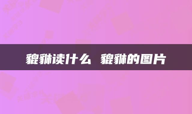貔貅读什么 貔貅的图片