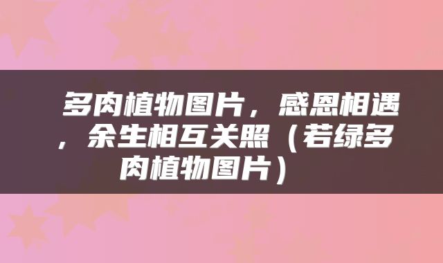  多肉植物图片，感恩相遇，余生相互关照（若绿多肉植物图片） 