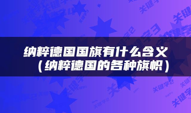 纳粹德国国旗有什么含义（纳粹德国的各种旗帜）