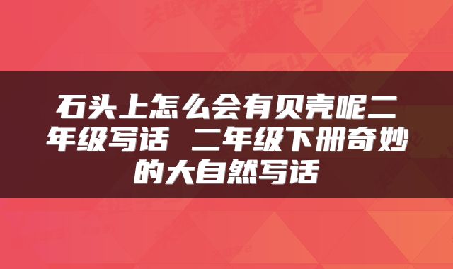 石头上怎么会有贝壳呢二年级写话 二年级下册奇妙的大自然写话